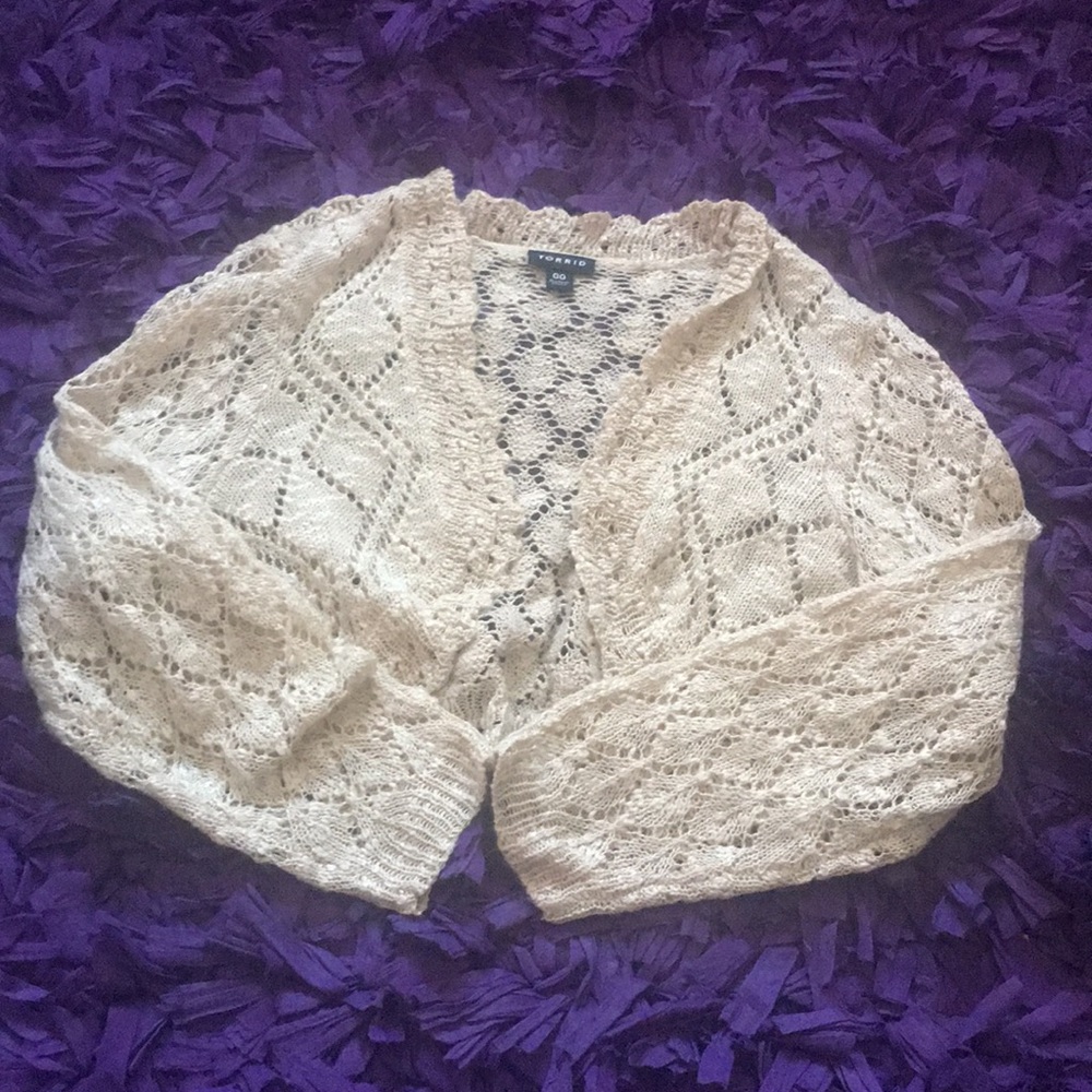 Torrid Sweater